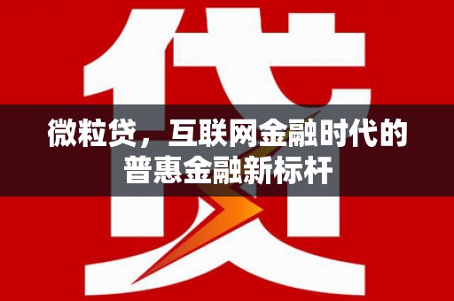 兴宾微粒贷，互联网金融时代的普惠金融新标杆