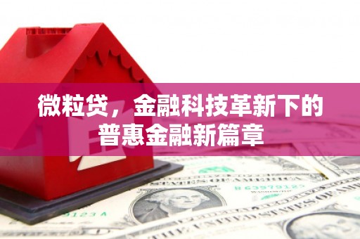 兴宾微粒贷，金融科技革新下的普惠金融新篇章