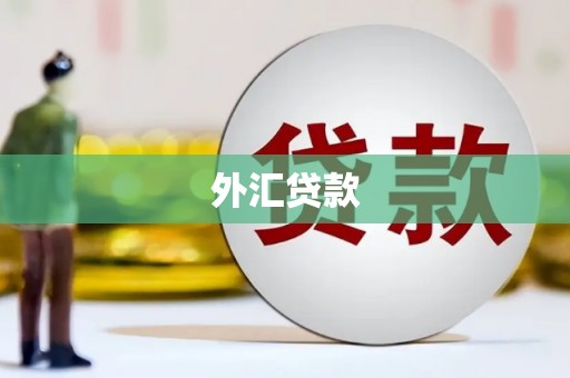 兴宾外汇贷款