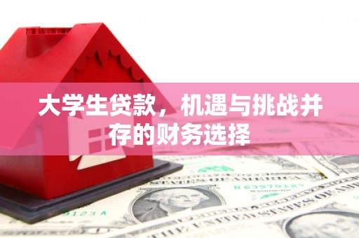 兴宾大学生贷款，机遇与挑战并存的财务选择