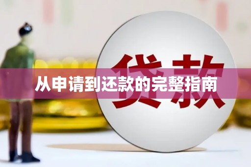 兴宾从申请到还款的完整指南