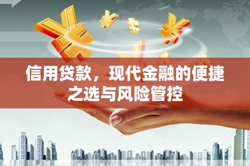兴宾信用贷款，现代金融的便捷之选与风险管控