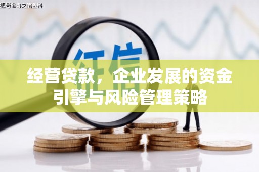 兴宾经营贷款，企业发展的资金引擎与风险管理策略