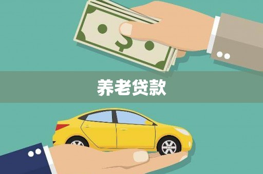 兴宾养老贷款