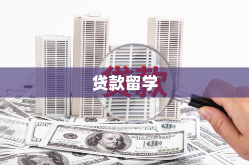 兴宾贷款留学