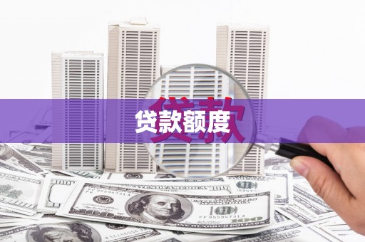 兴宾贷款额度