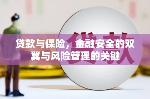 兴宾贷款与保险，金融安全的双翼与风险管理的关键