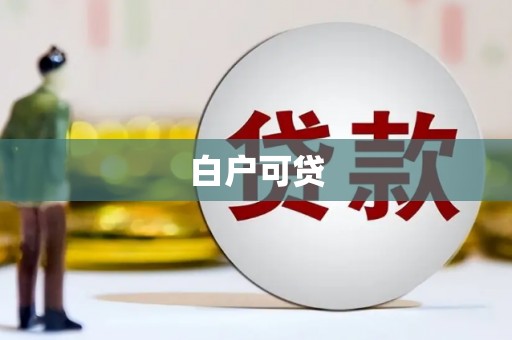 兴宾白户可贷