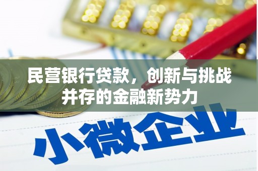 兴宾民营银行贷款，创新与挑战并存的金融新势力