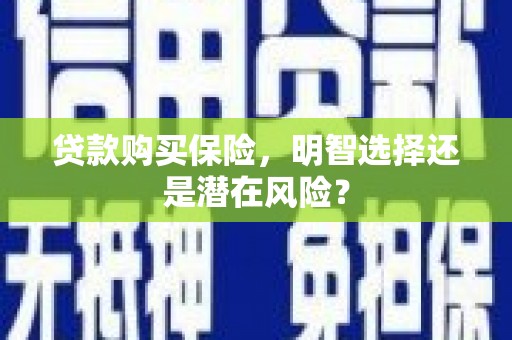 兴宾贷款购买保险，明智选择还是潜在风险？
