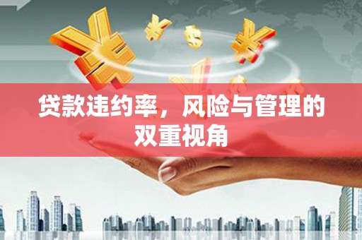 兴宾贷款违约率，风险与管理的双重视角