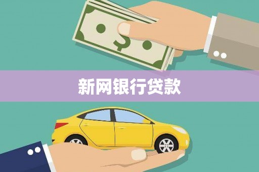 兴宾新网银行贷款