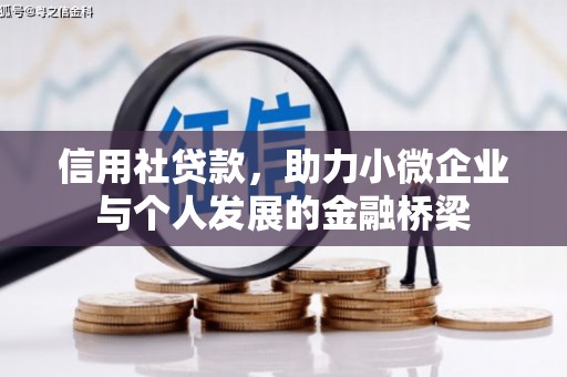 兴宾信用社贷款，助力小微企业与个人发展的金融桥梁