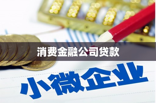 兴宾消费金融公司贷款