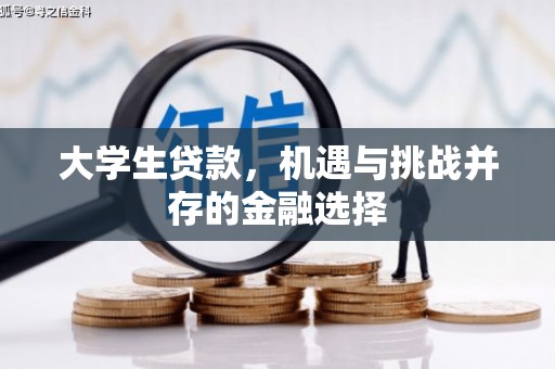 兴宾大学生贷款，机遇与挑战并存的金融选择