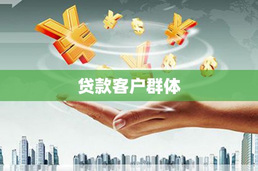 兴宾贷款客户群体