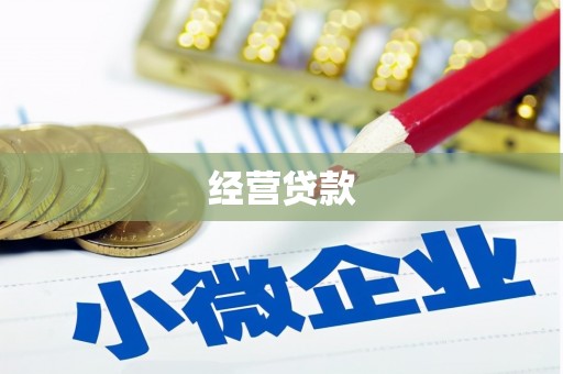 兴宾经营贷款