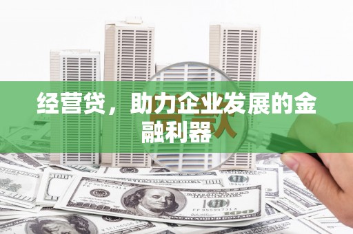 兴宾经营贷，助力企业发展的金融利器