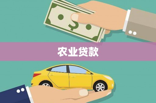 兴宾农业贷款