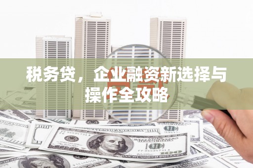 兴宾税务贷，企业融资新选择与操作全攻略