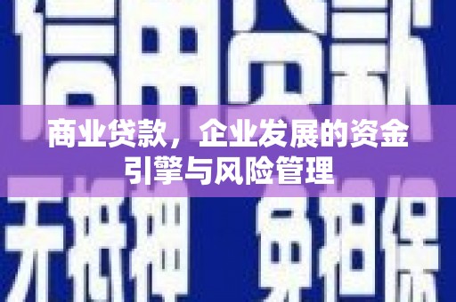 兴宾商业贷款，企业发展的资金引擎与风险管理