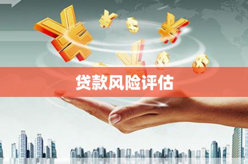 兴宾贷款风险评估