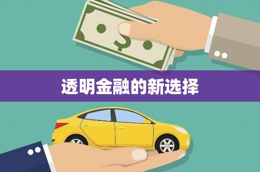 兴宾透明金融的新选择