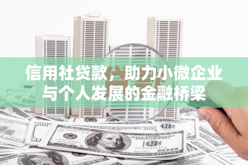 兴宾信用社贷款，助力小微企业与个人发展的金融桥梁
