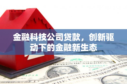 兴宾金融科技公司贷款，创新驱动下的金融新生态