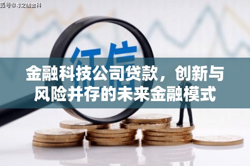 兴宾金融科技公司贷款，创新与风险并存的未来金融模式