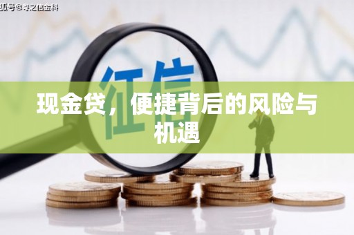 兴宾现金贷，便捷背后的风险与机遇