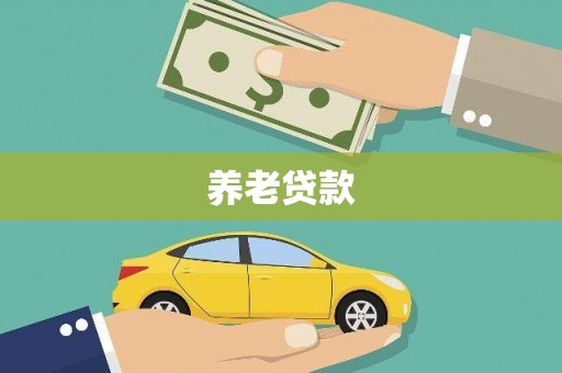 兴宾养老贷款