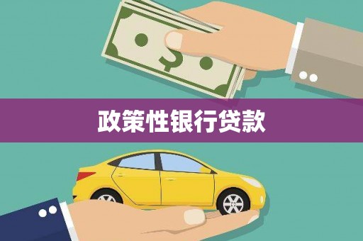 兴宾政策性银行贷款