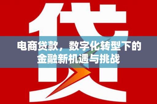 兴宾电商贷款，数字化转型下的金融新机遇与挑战