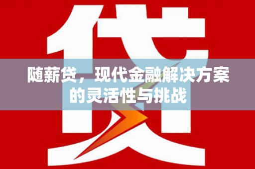 兴宾随薪贷，现代金融解决方案的灵活性与挑战