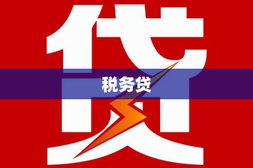 兴宾税务贷
