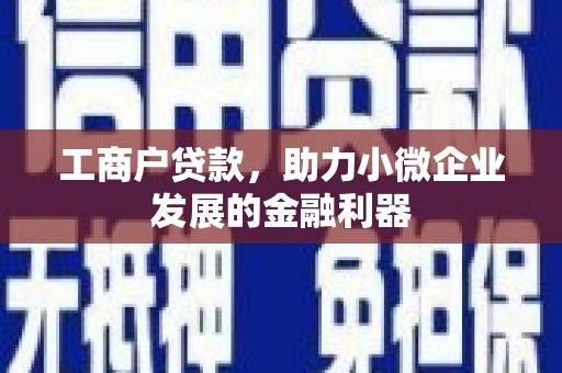 兴宾工商户贷款，助力小微企业发展的金融利器