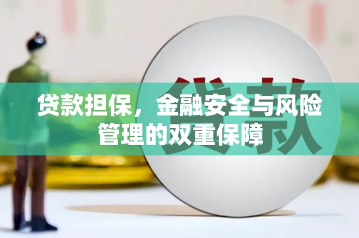 兴宾贷款担保，金融安全与风险管理的双重保障