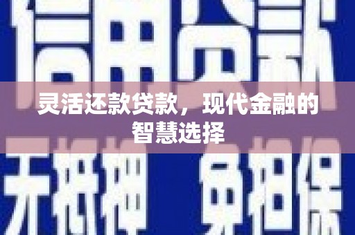 兴宾灵活还款贷款，现代金融的智慧选择