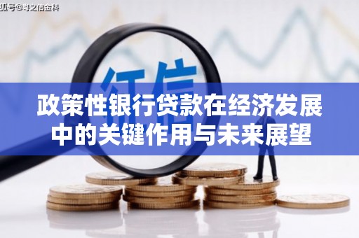 兴宾政策性银行贷款在经济发展中的关键作用与未来展望