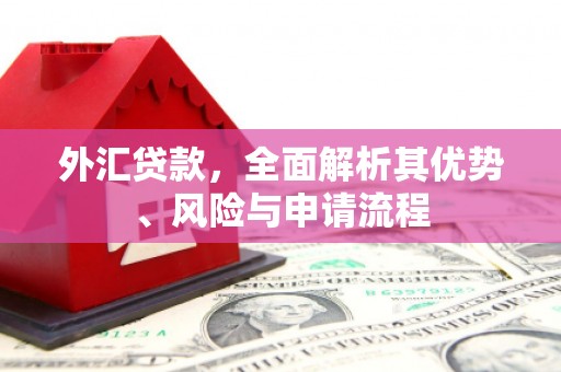兴宾外汇贷款，全面解析其优势、风险与申请流程