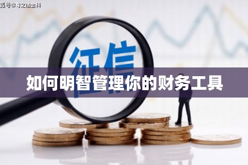 兴宾如何明智管理你的财务工具