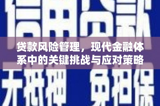 兴宾贷款风险管理，现代金融体系中的关键挑战与应对策略