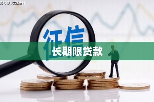 兴宾长期限贷款