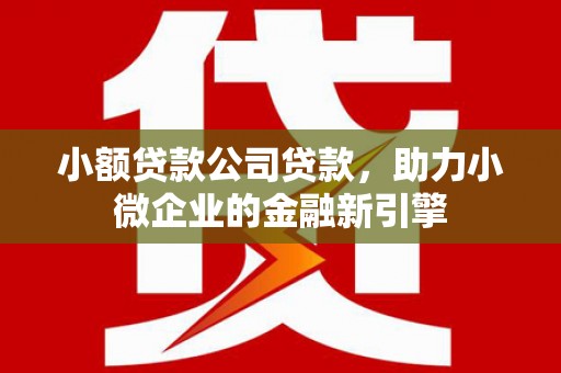 兴宾小额贷款公司贷款，助力小微企业的金融新引擎