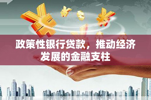 兴宾政策性银行贷款，推动经济发展的金融支柱