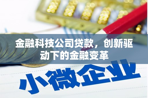 兴宾金融科技公司贷款，创新驱动下的金融变革