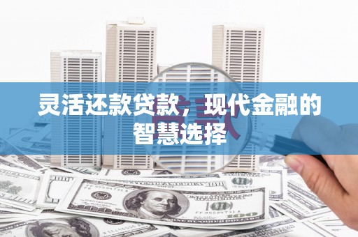 兴宾灵活还款贷款，现代金融的智慧选择