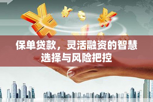 兴宾保单贷款，灵活融资的智慧选择与风险把控