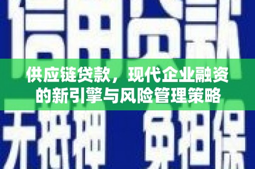 兴宾供应链贷款，现代企业融资的新引擎与风险管理策略
